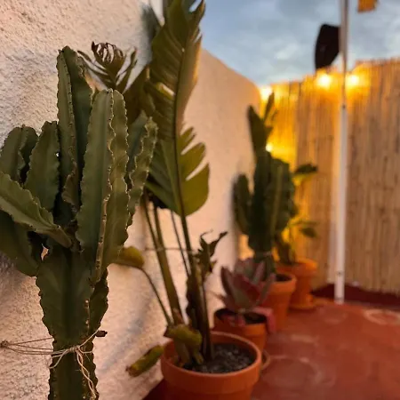 Seaside Roofterrace