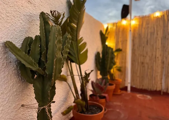 Seaside Roofterrace